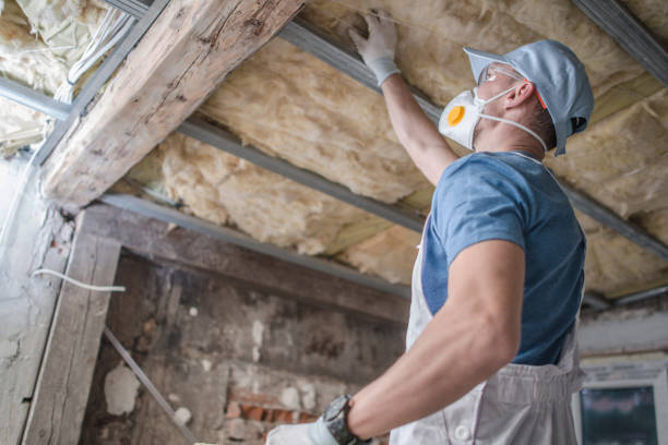 Best Insulation Replacement Services  in Maben, MS